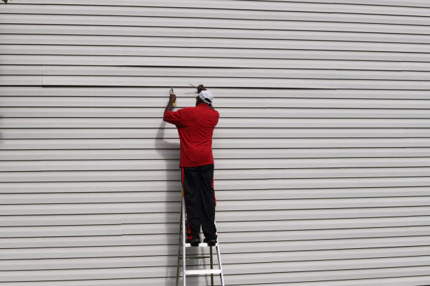 Best Siding Painting and Refinishing  in La Grange, KY